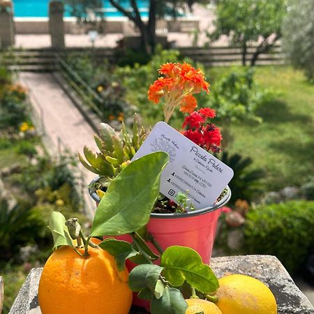 Piccolo Podere Apartment Melilli Екстериор снимка