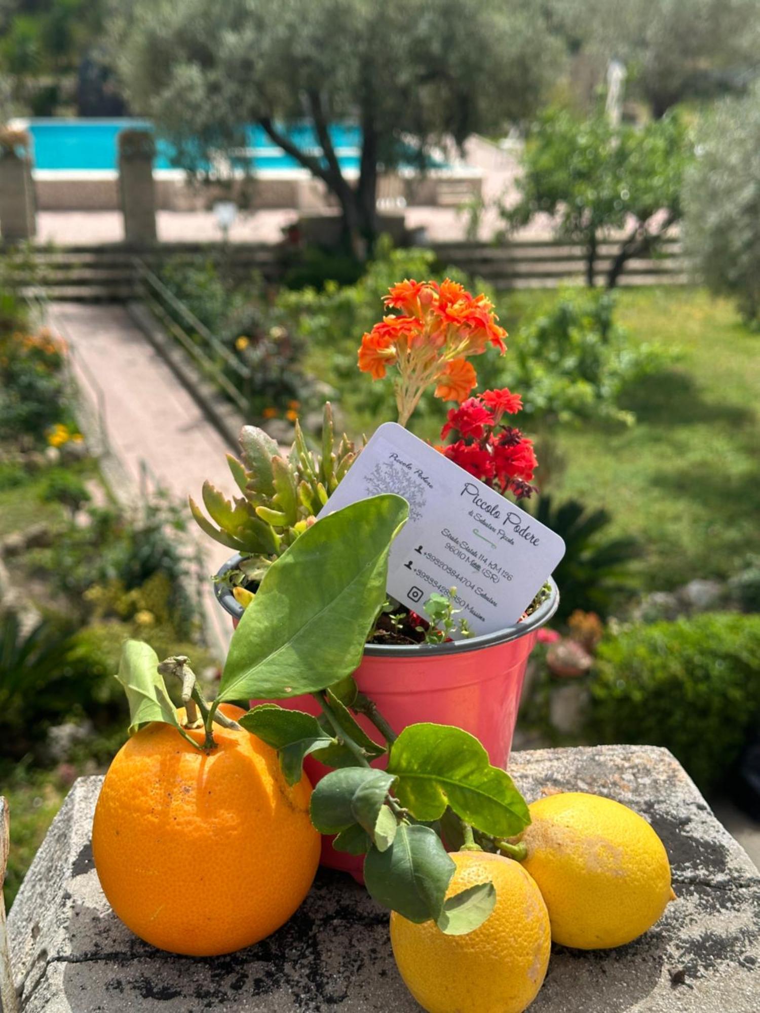 Piccolo Podere Apartment Melilli Екстериор снимка